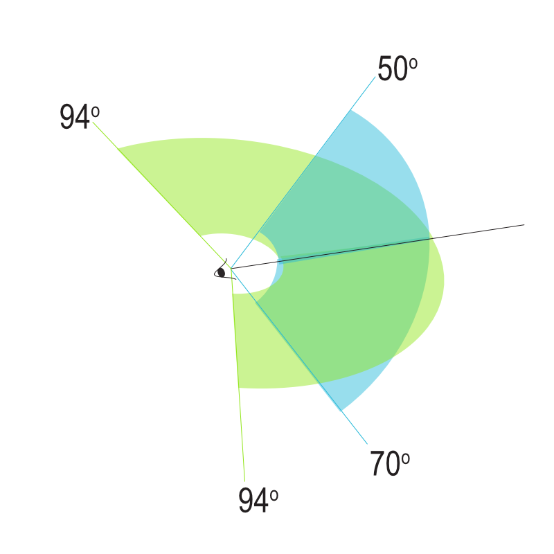 field of view illustration